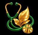 15+ Qualified Doctors & Vaidyas