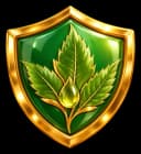 300+ Daily Consultations